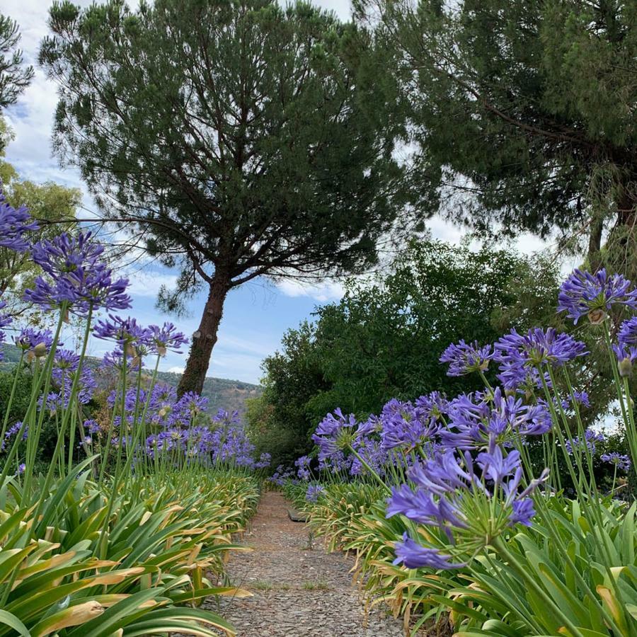 La Peschiera B&B San Lorenzo del Vallo Kültér fotó